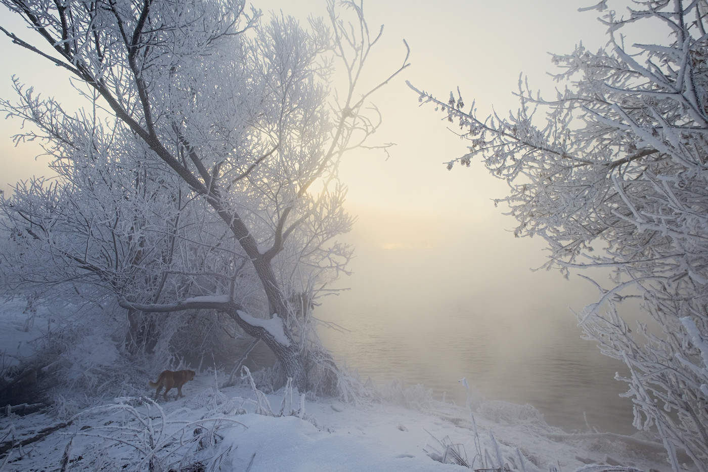 Может искупаться?!