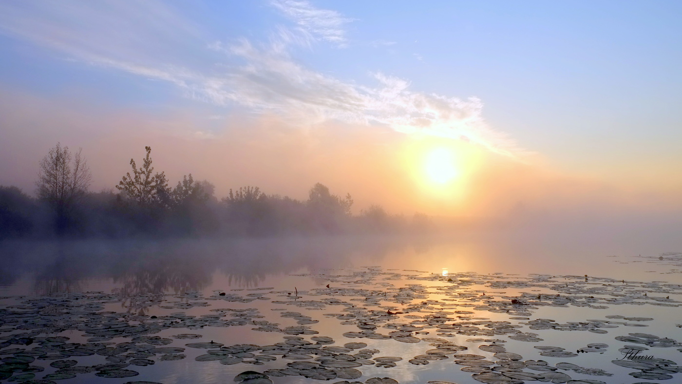 Туман на восходе.