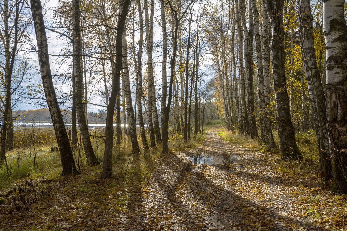 осенние прогулки