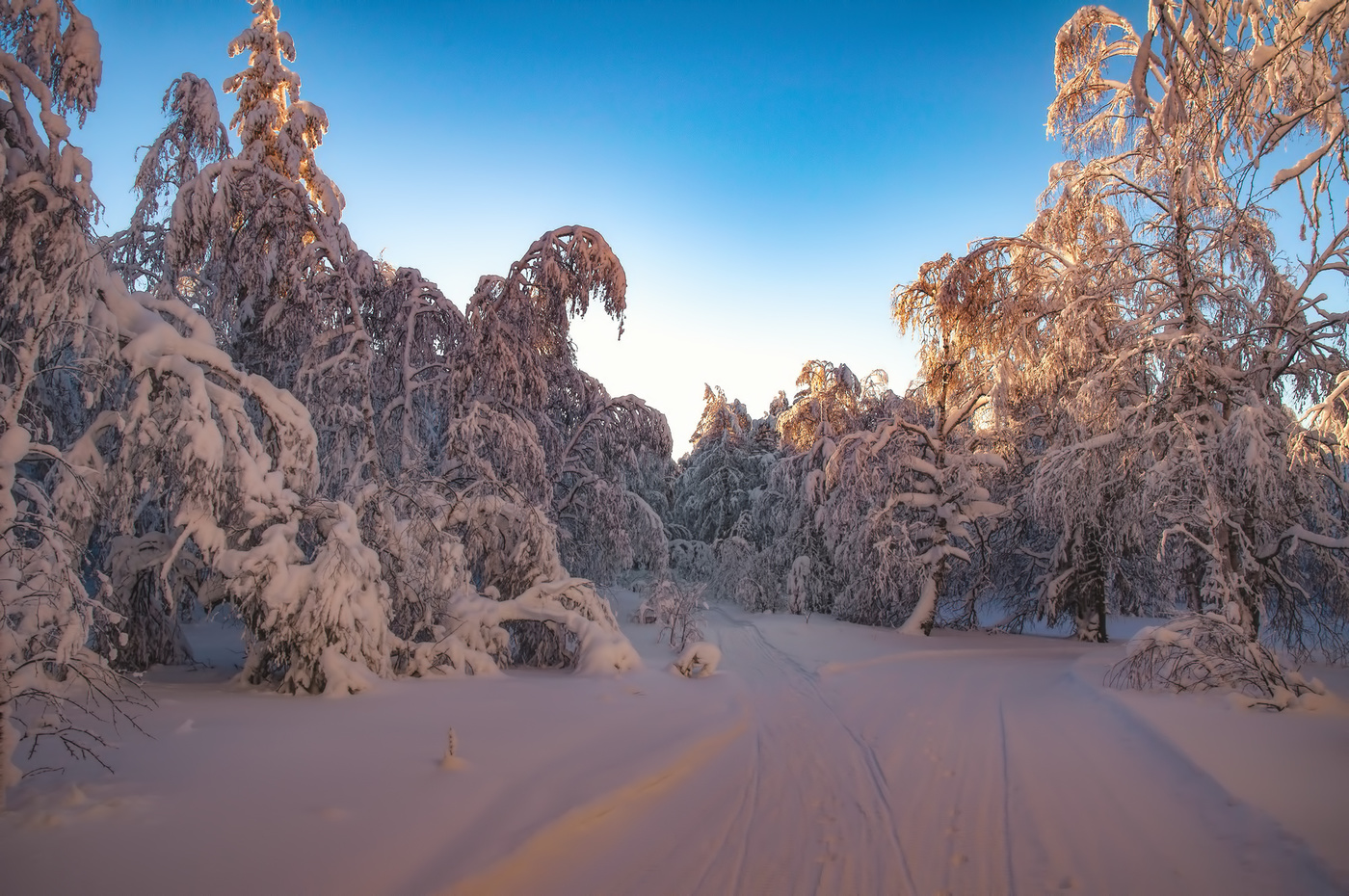 Зимний вечер