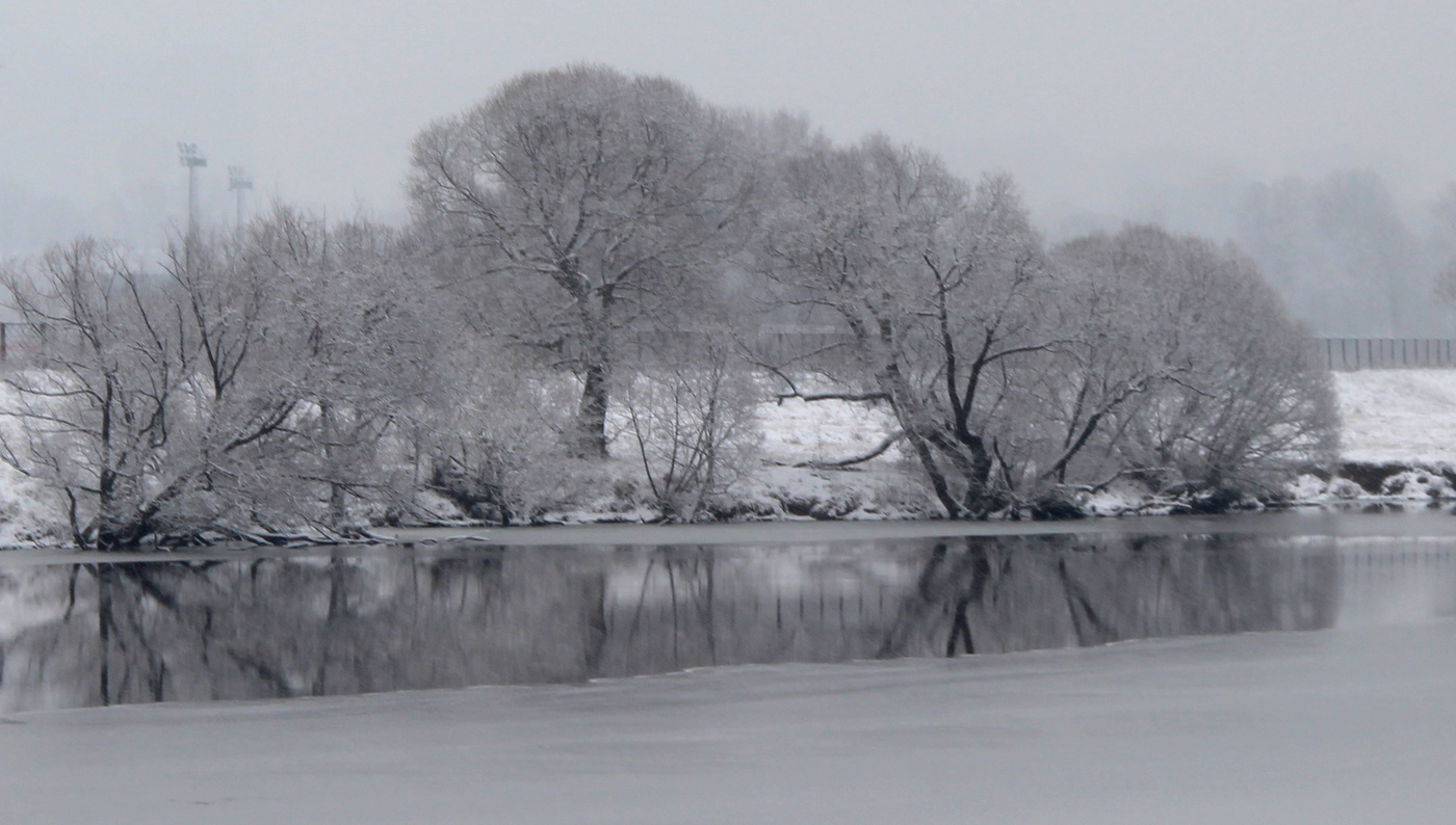 Выпал первый снег!