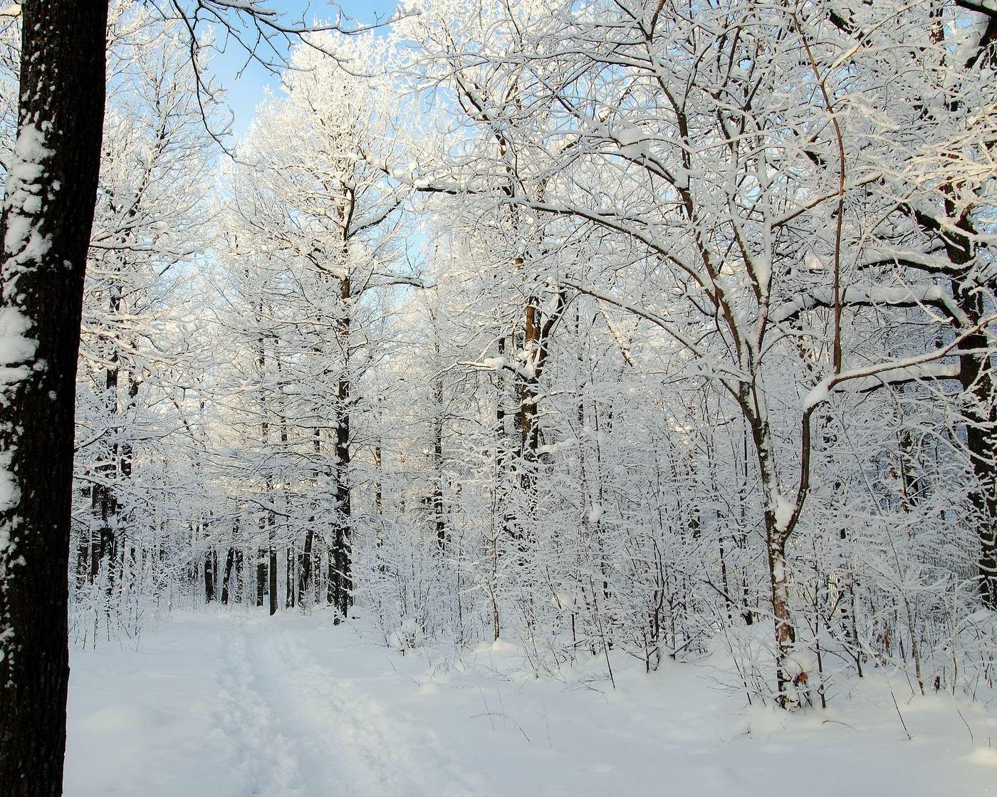 И станет попросту светлей…