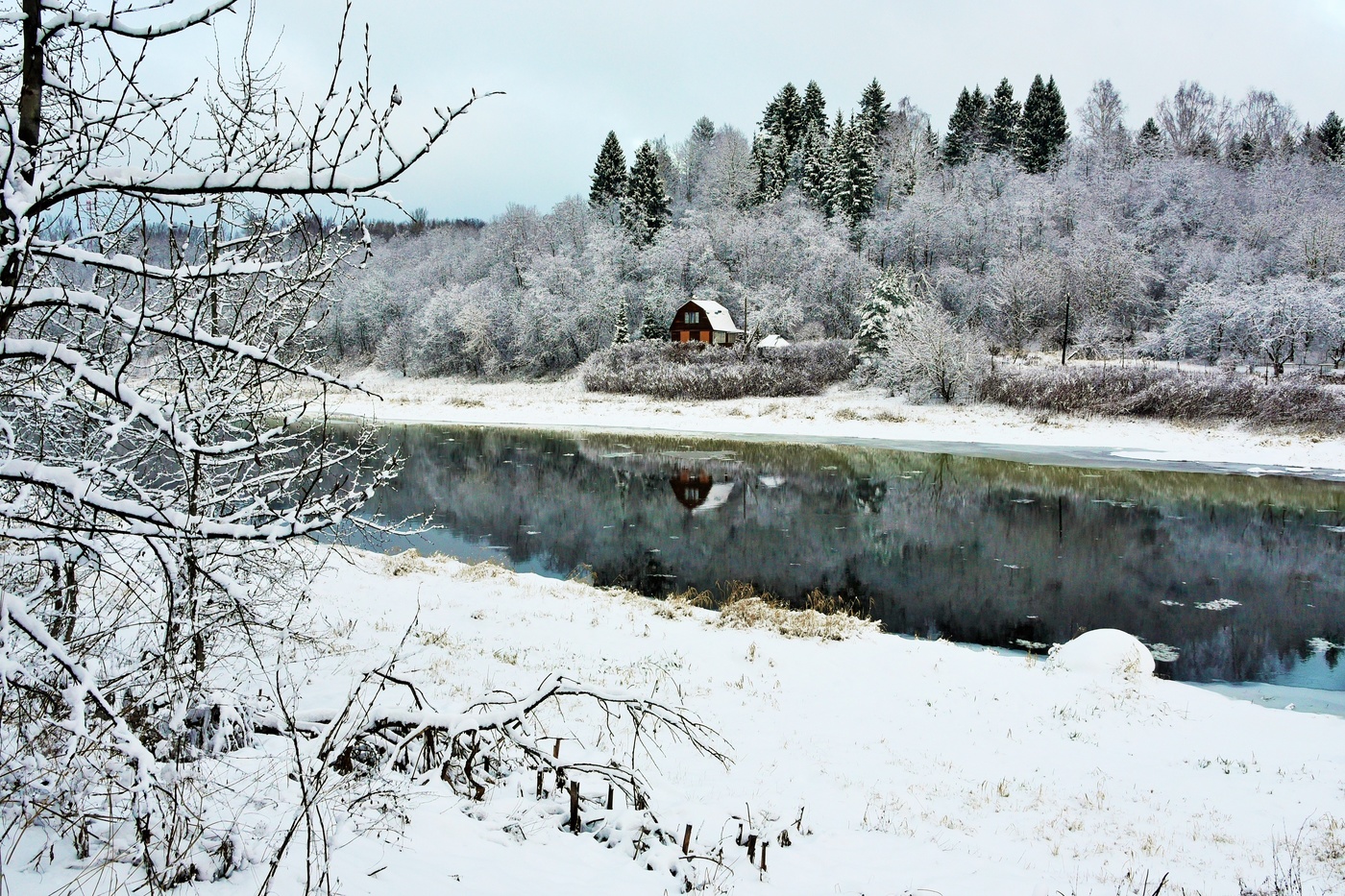 Ночью, наконец, выпал снег. Надолго ли ?..