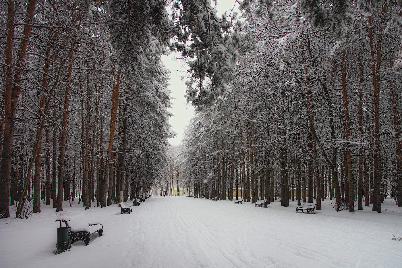 Под белым покрывалом января