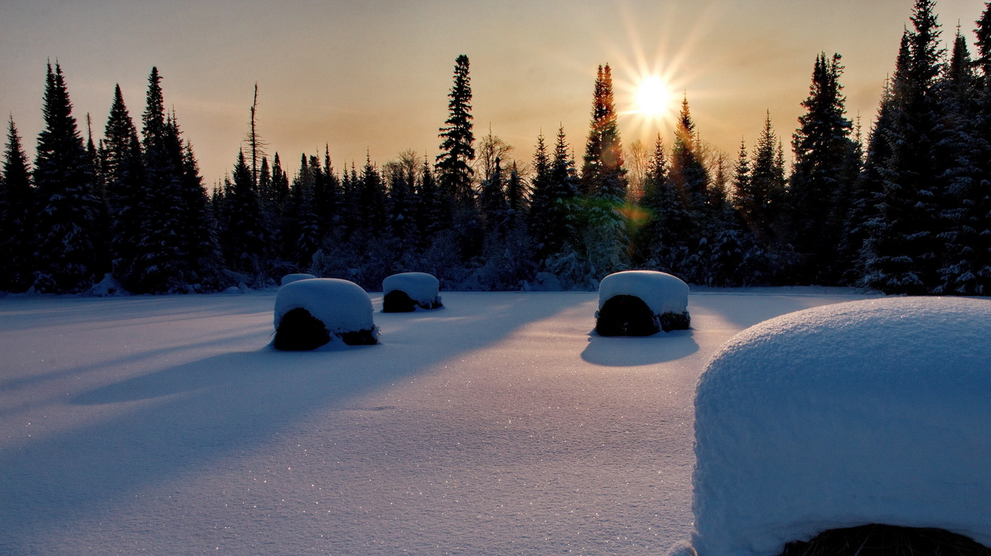 Январский вечер.