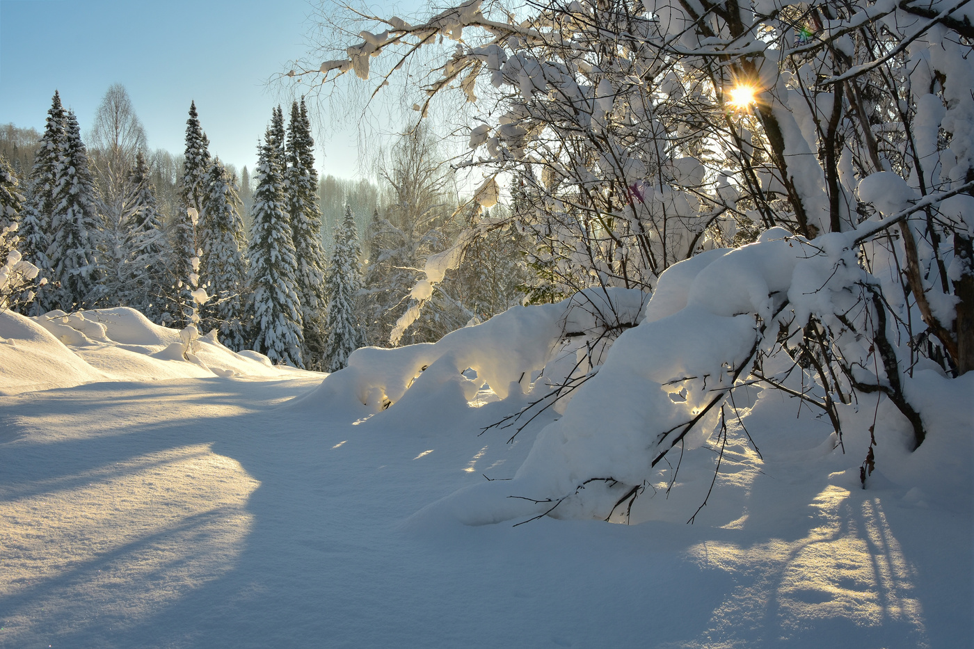 Январский день