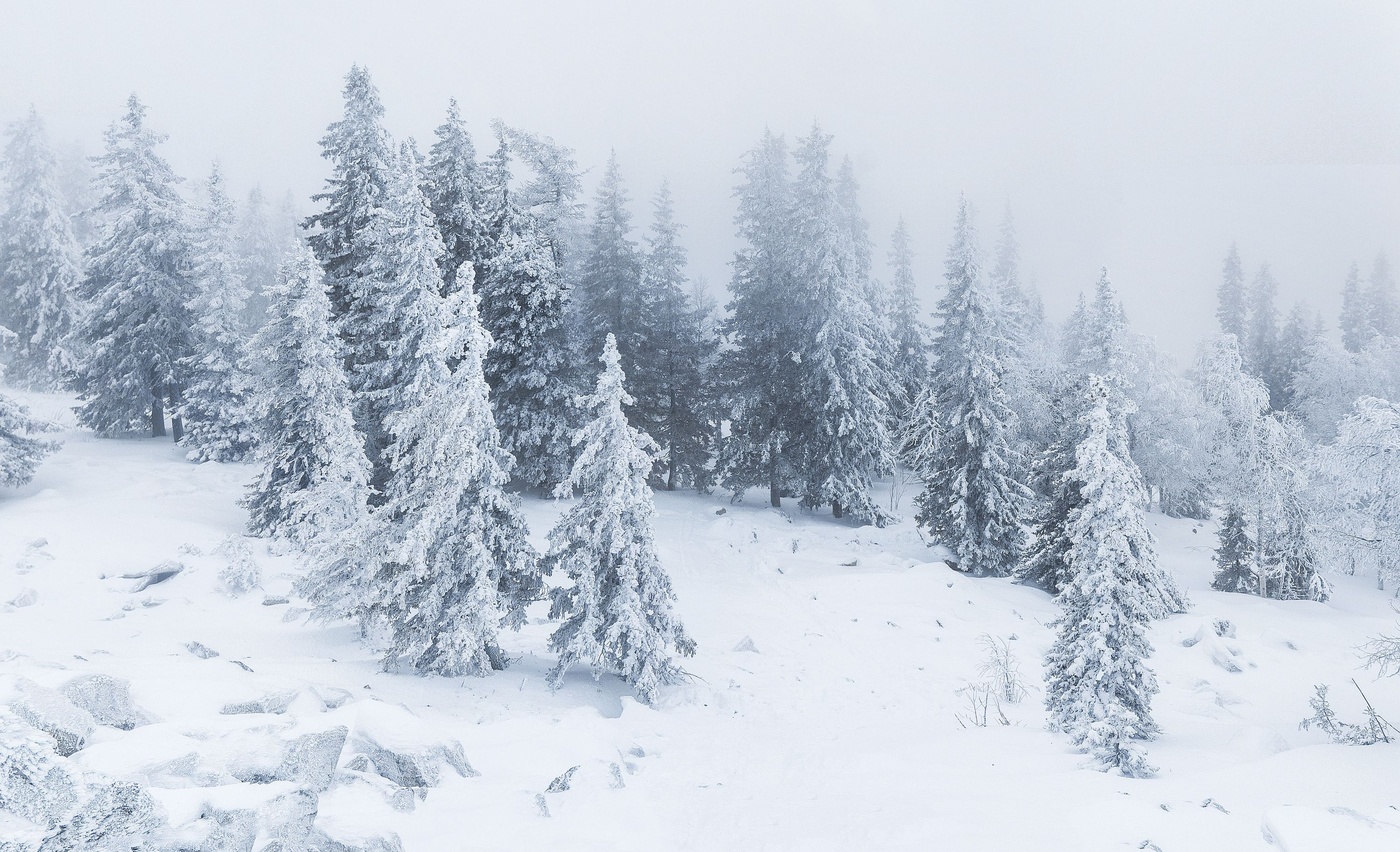 Южный склон г. Большой Уван