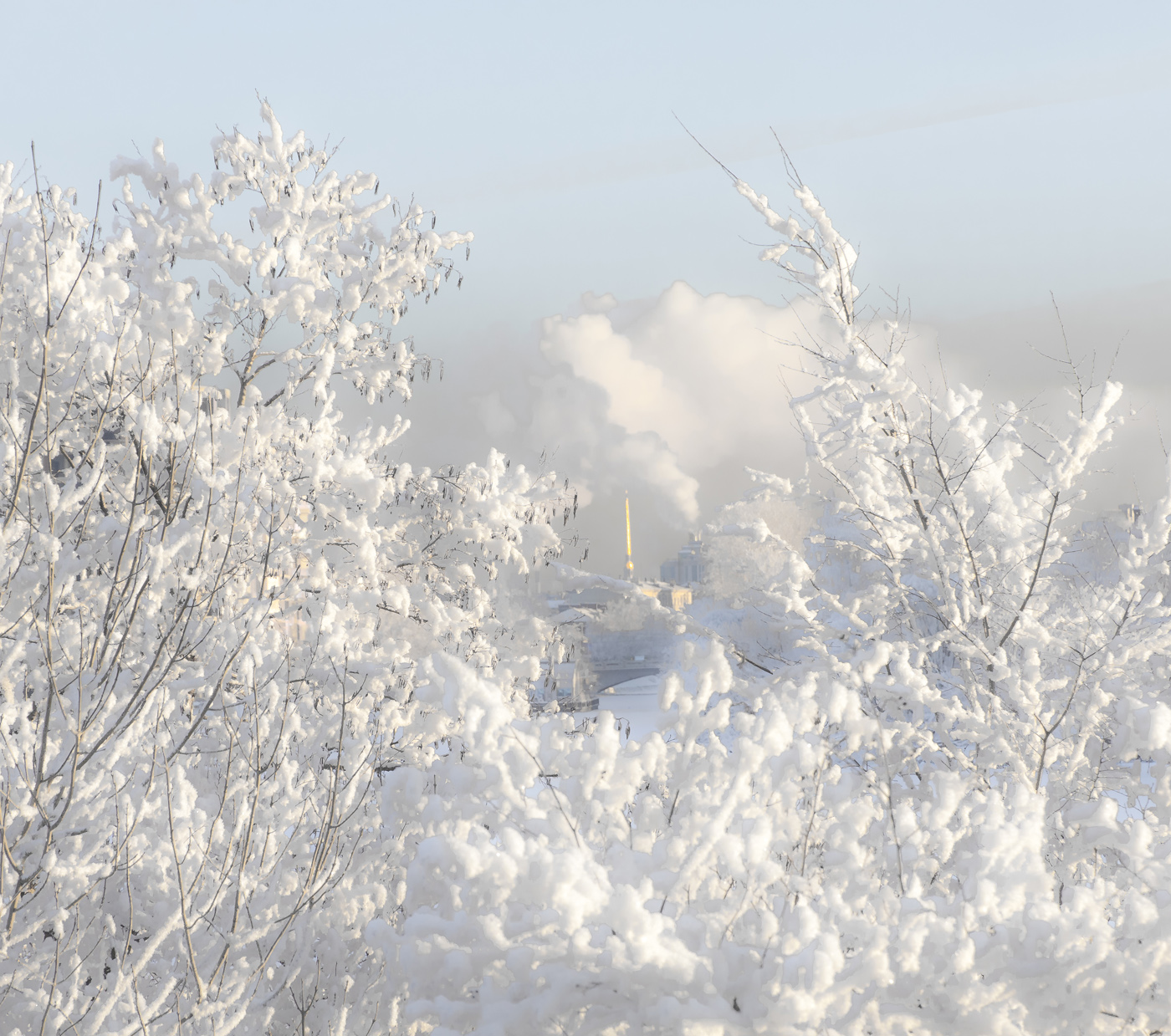 Это Питер №1