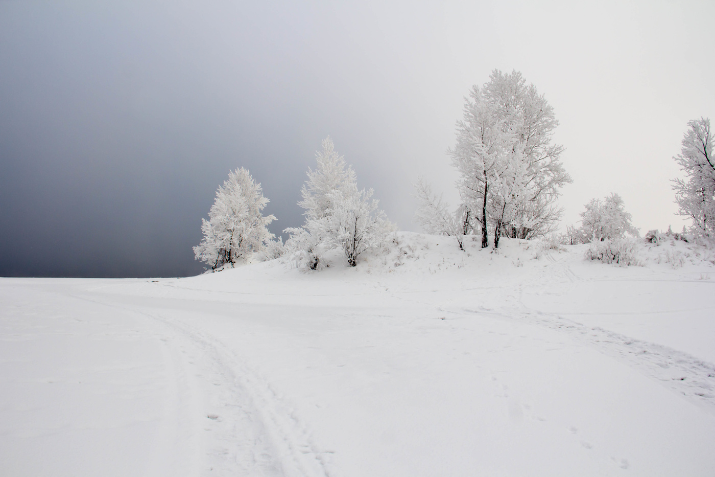 Морозное утро на берегу