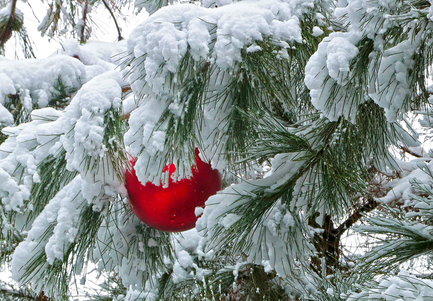 13 января в Ташкент пришла зима...