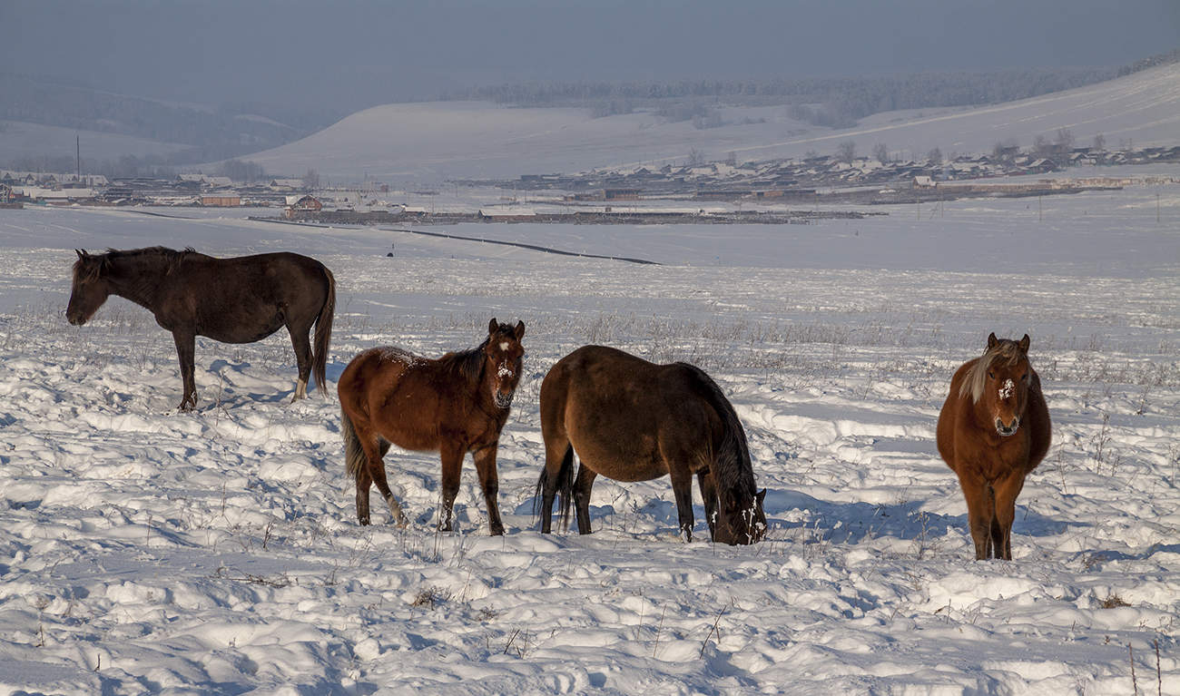 Прогулка по зиме