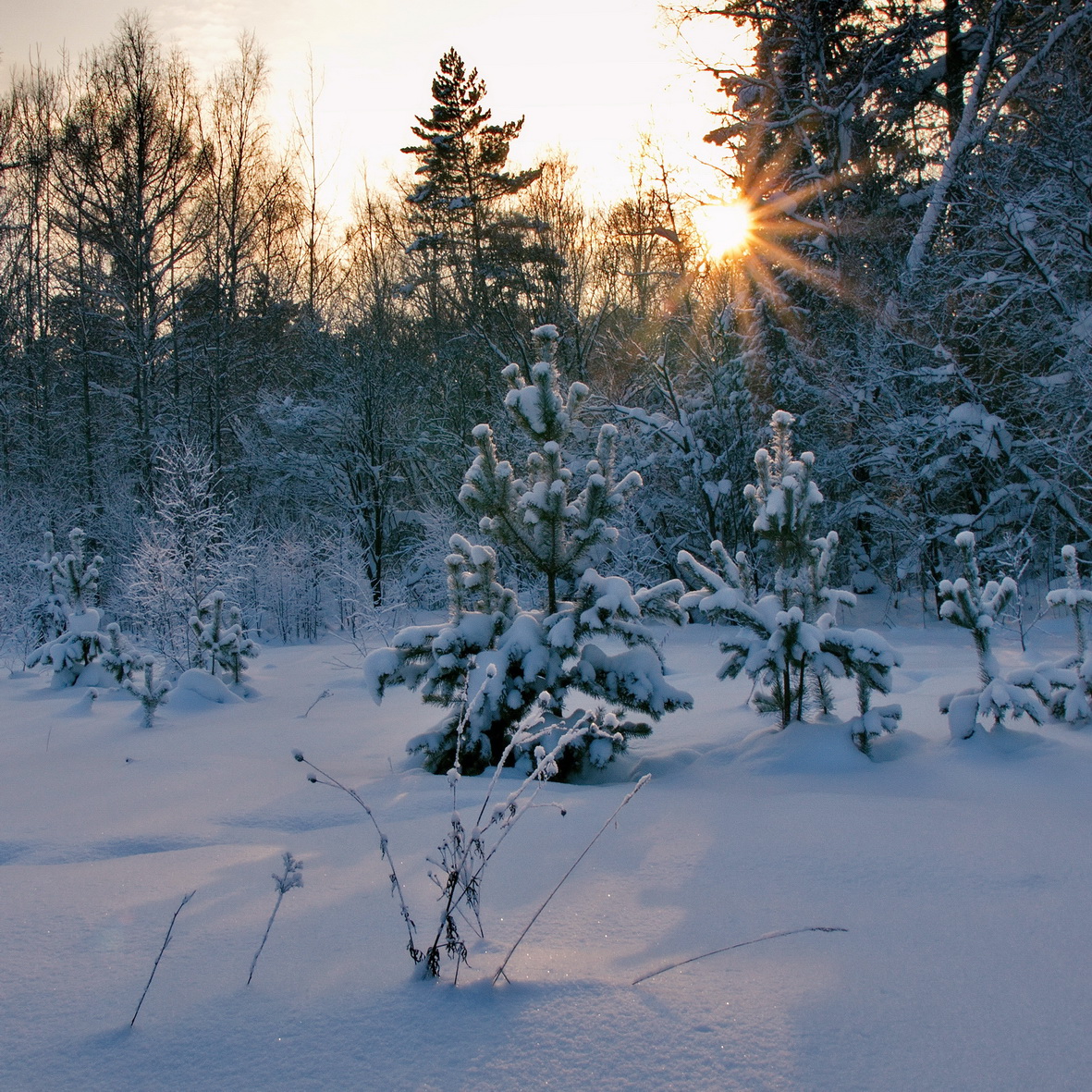 *Январский этюд.**