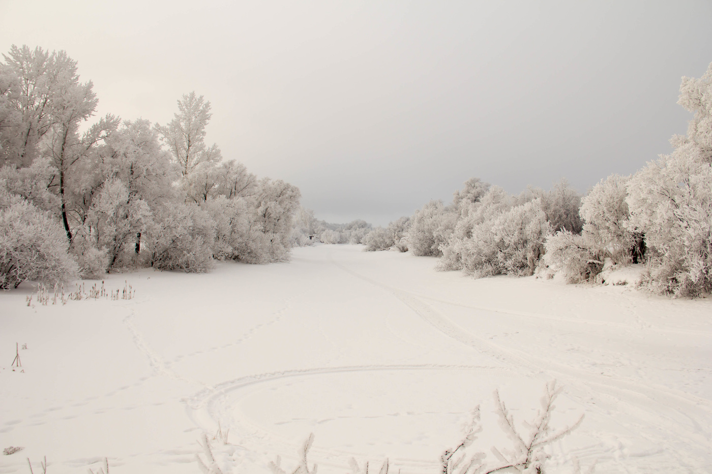 Морозов ждали? Всё как надо!