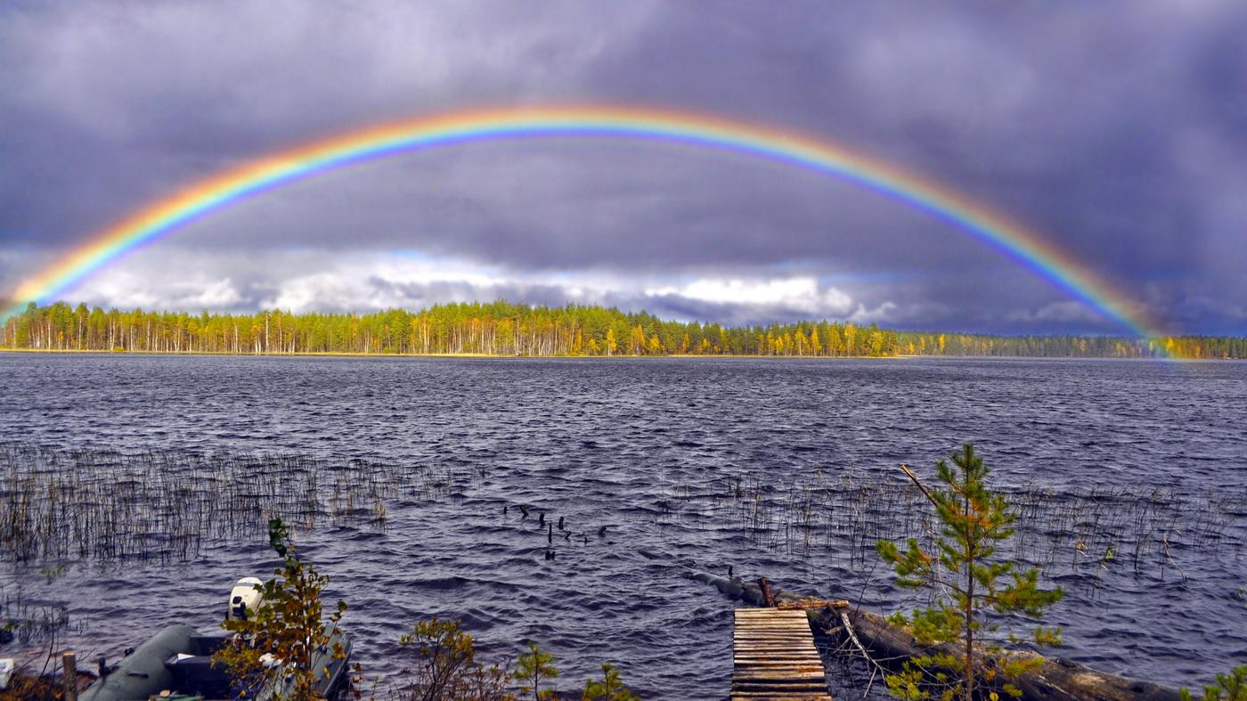Дождь прошёл.