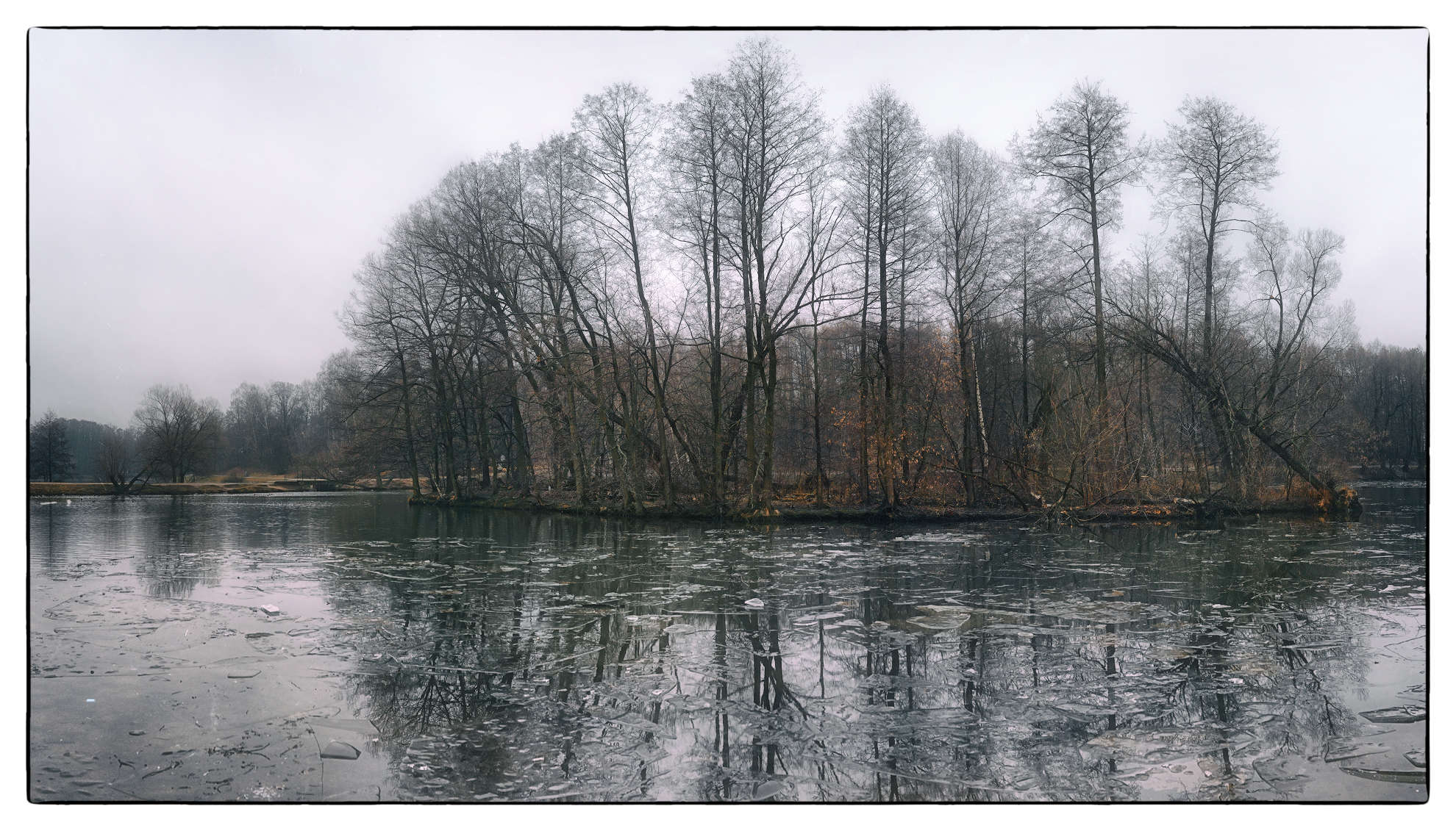 Осенняя прозрачность.