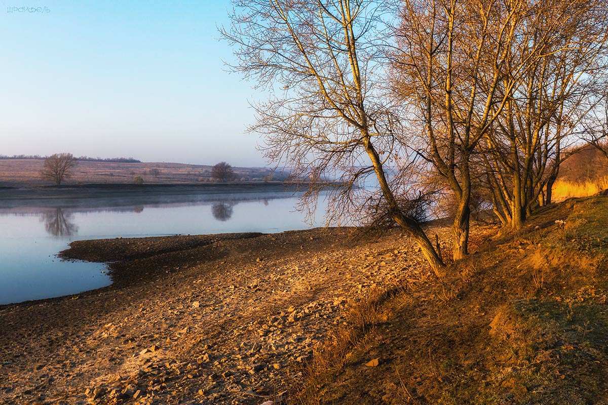 Донец осенний на восходе