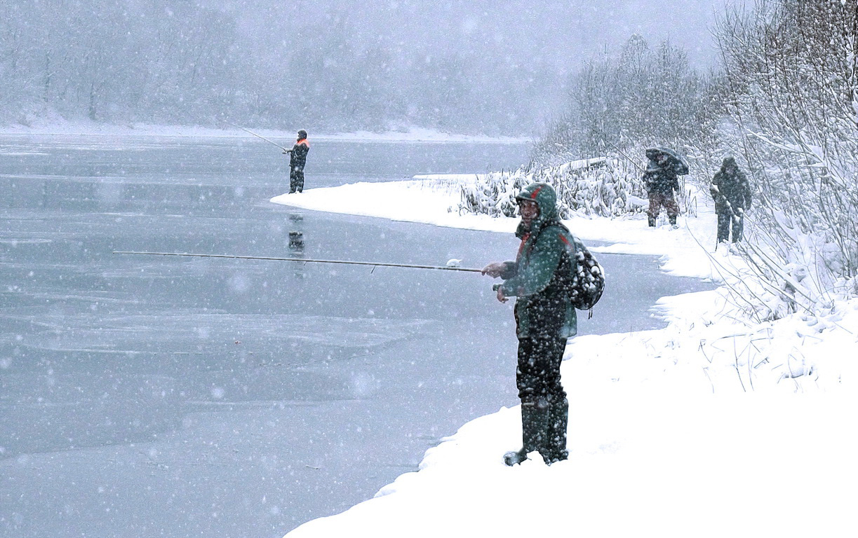 Под снежок и лов идёт