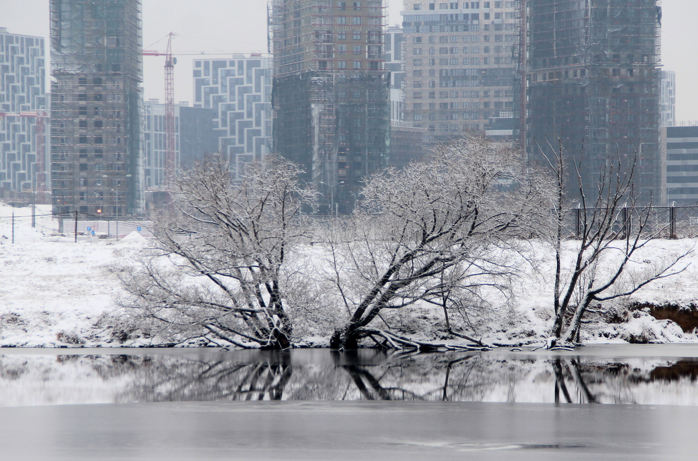 Тушинский аэродром!