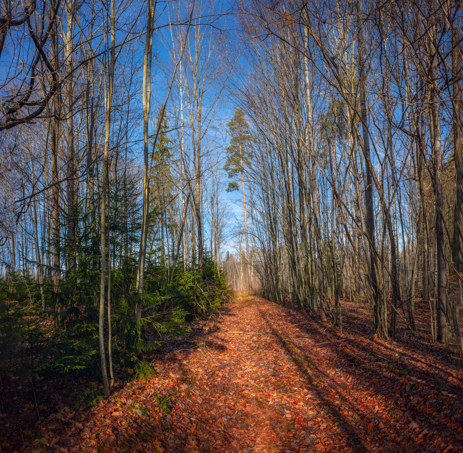 Поздняя осень