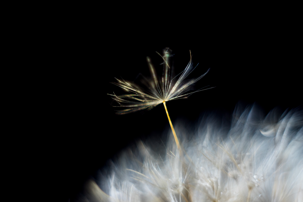 мечтатель...