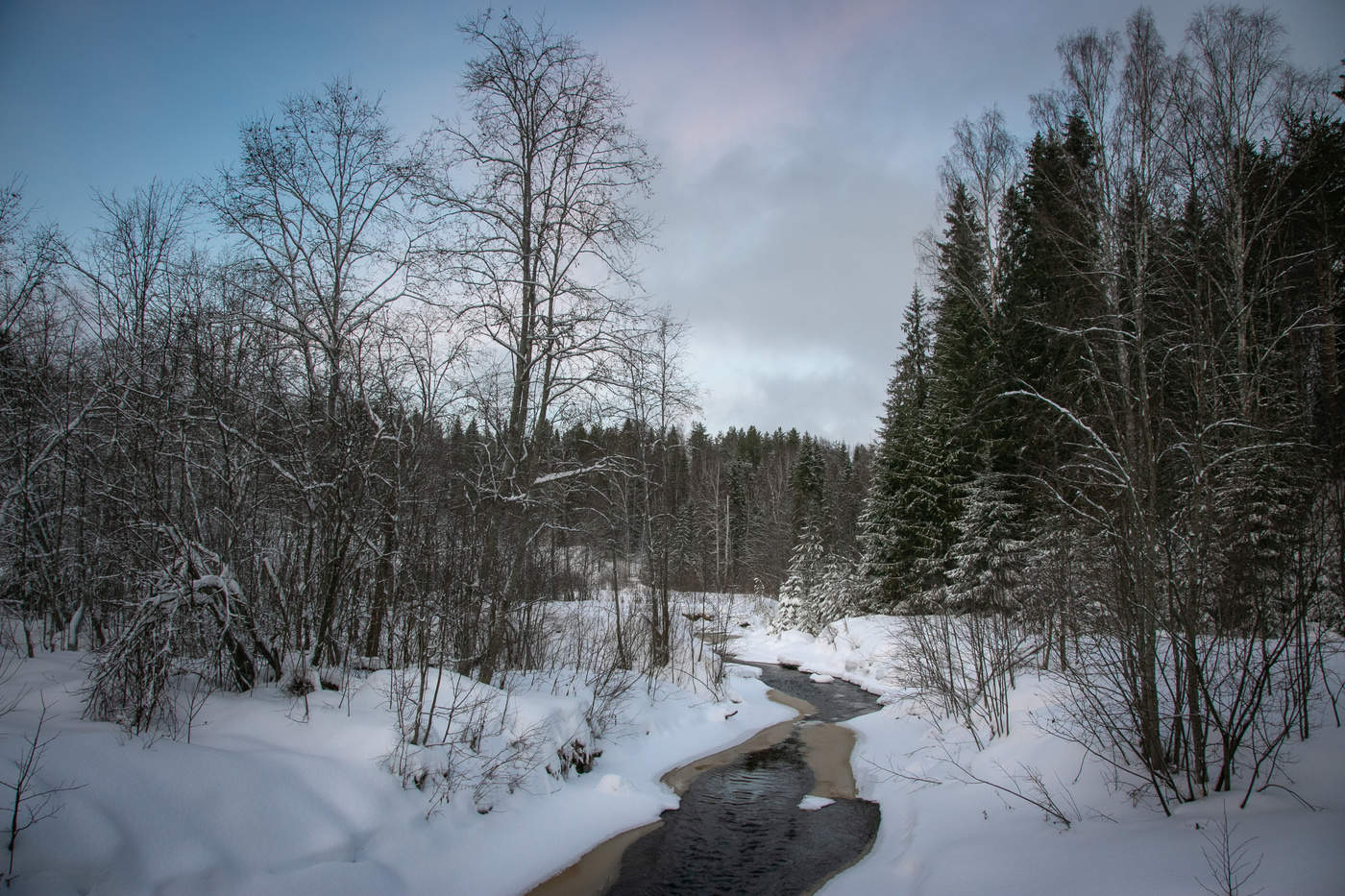 Лесной ручей