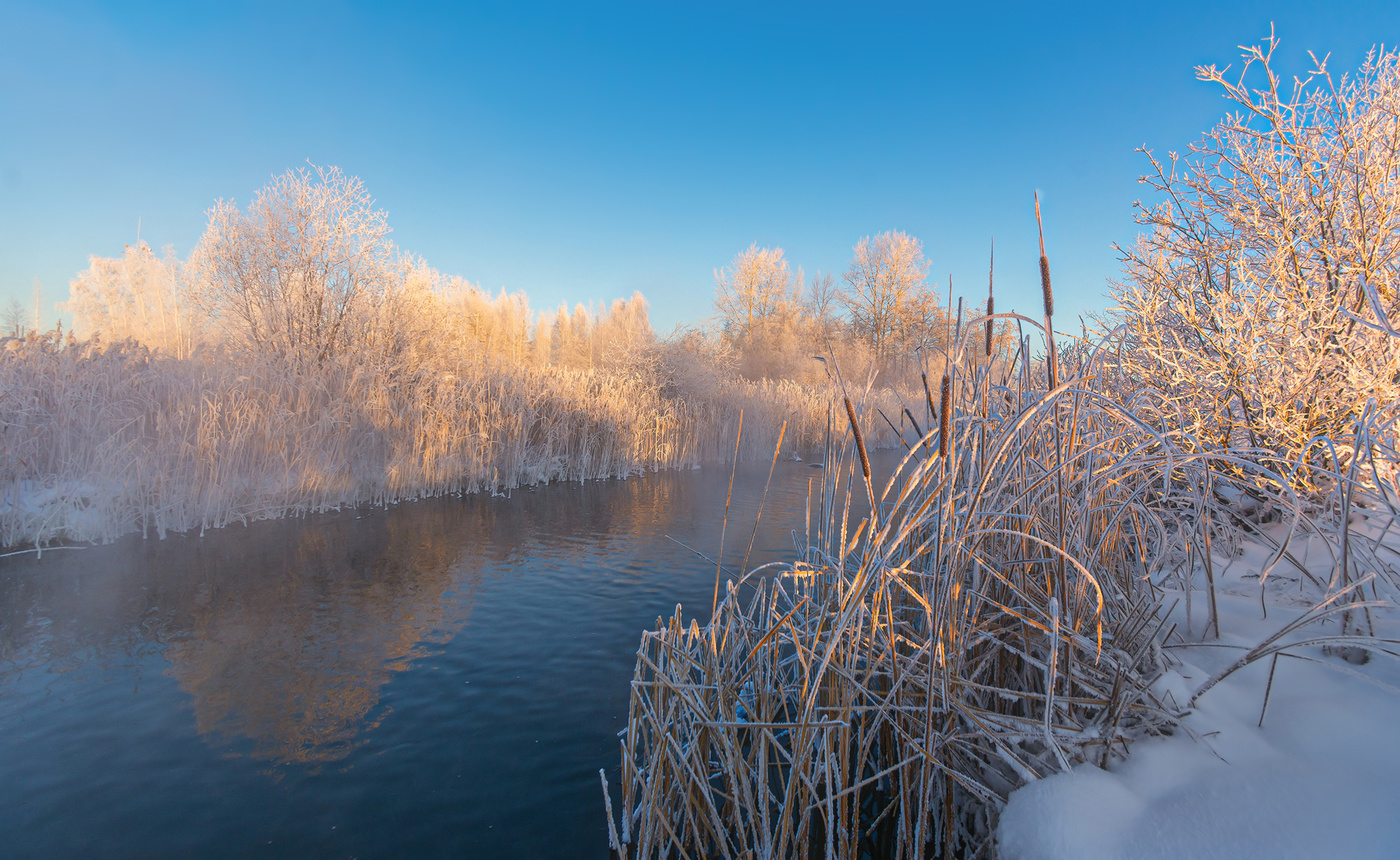 Краски зимнего утра