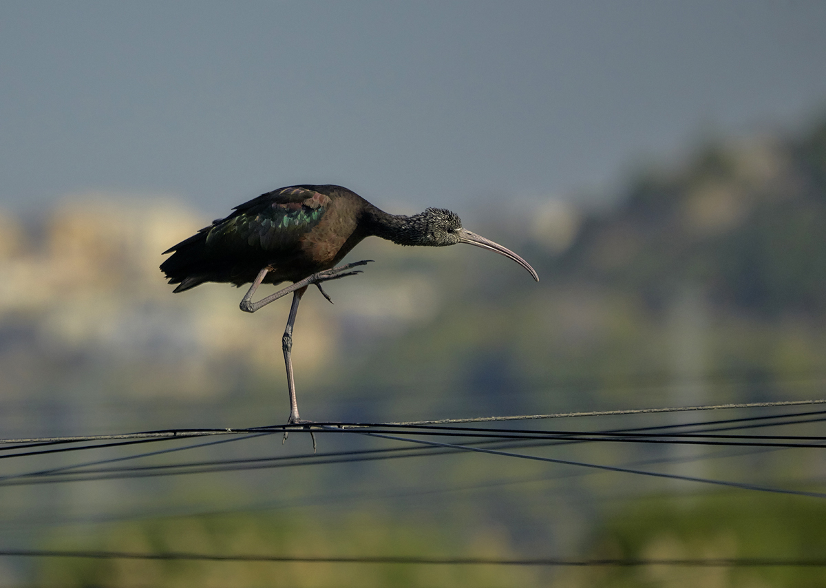 Жизненная позиция