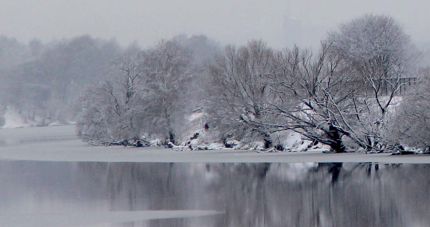 Берег Москва реки