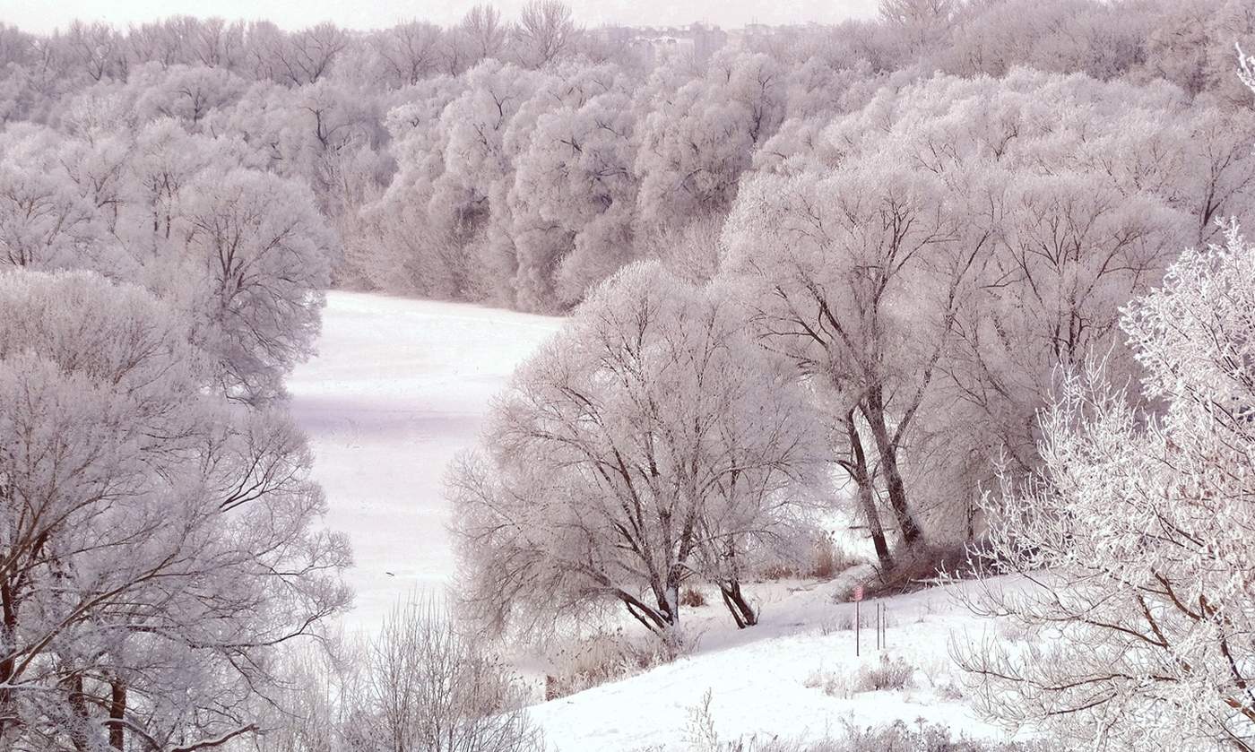 Зимняя сказка