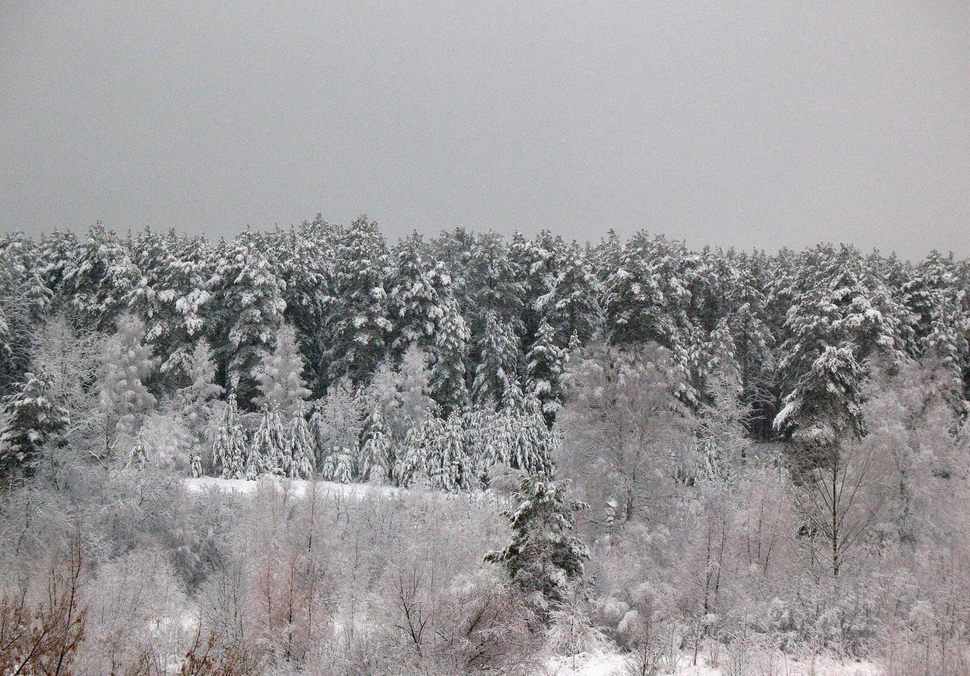 Зимняя сказка