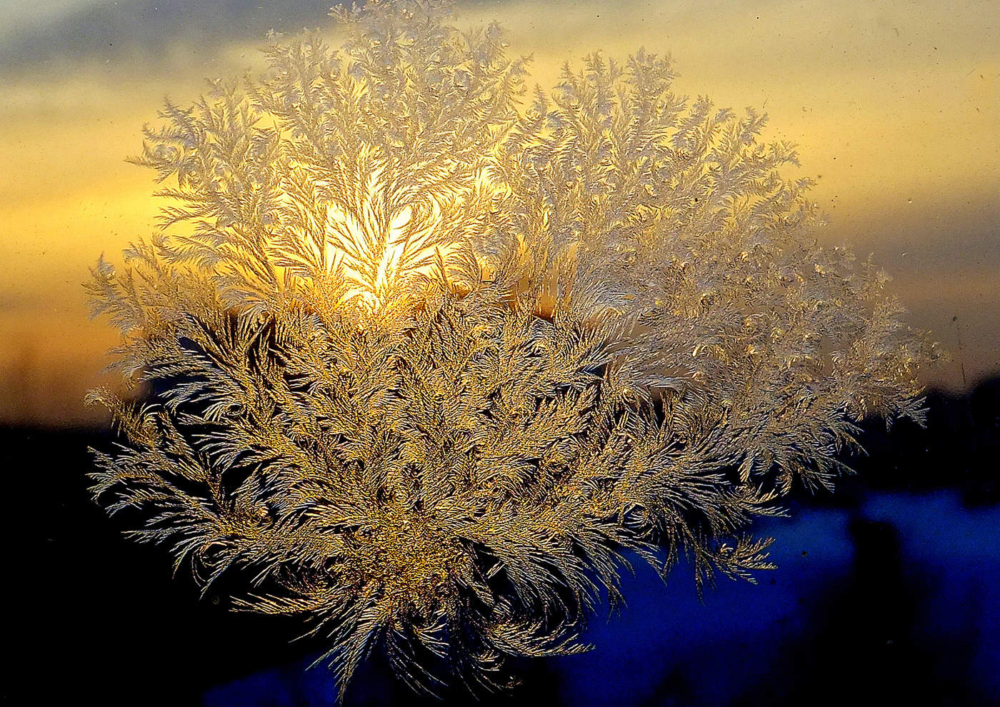 Зимняя сказка