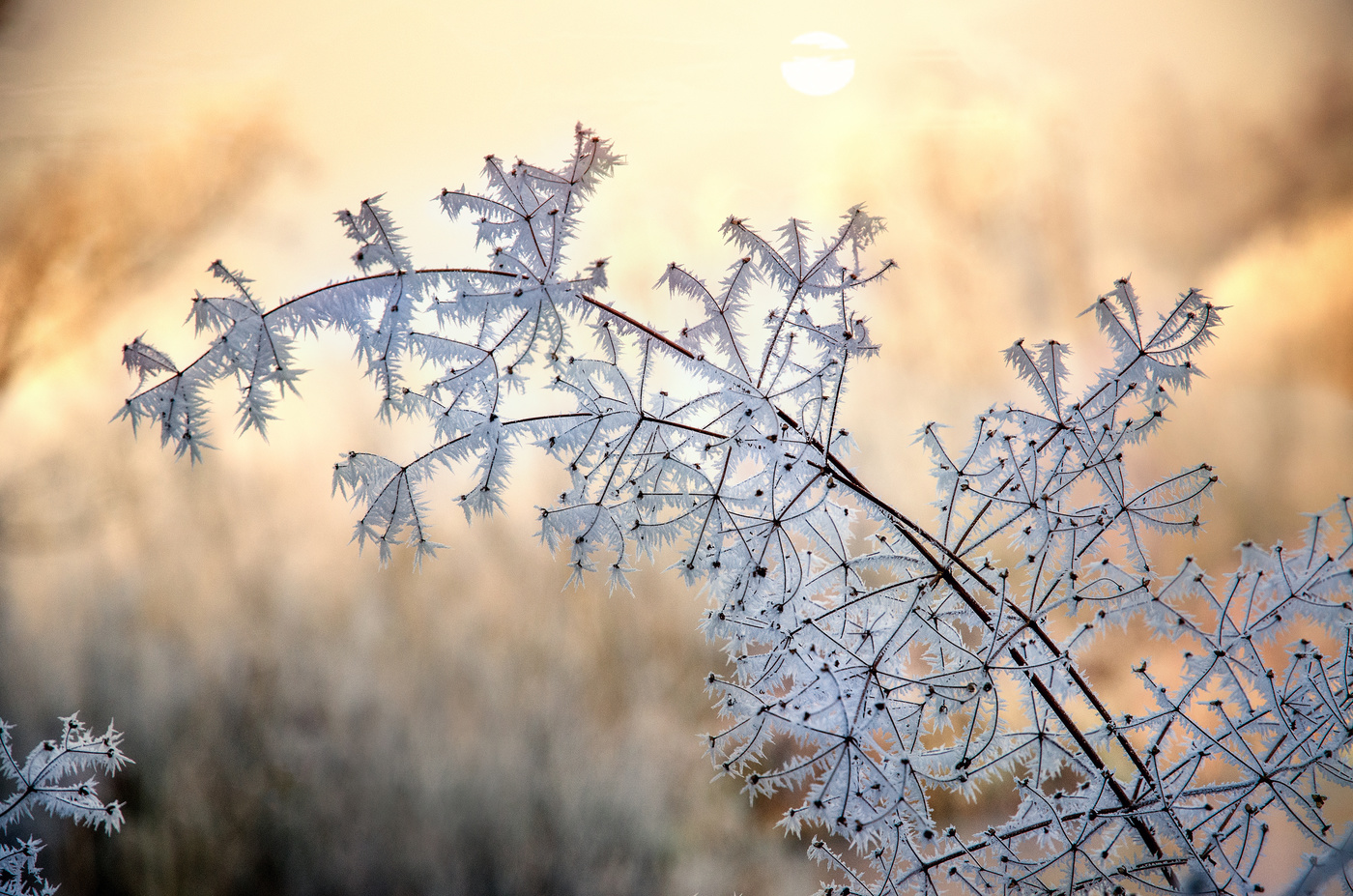 Зимняя сказка