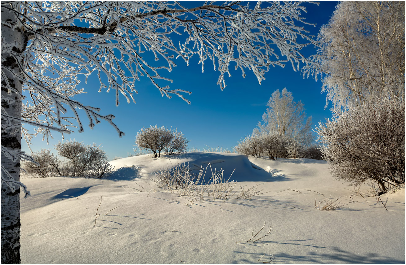 Зимняя сказка