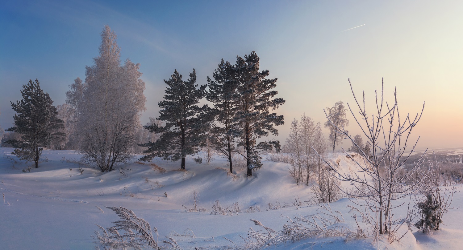 Зимняя сказка