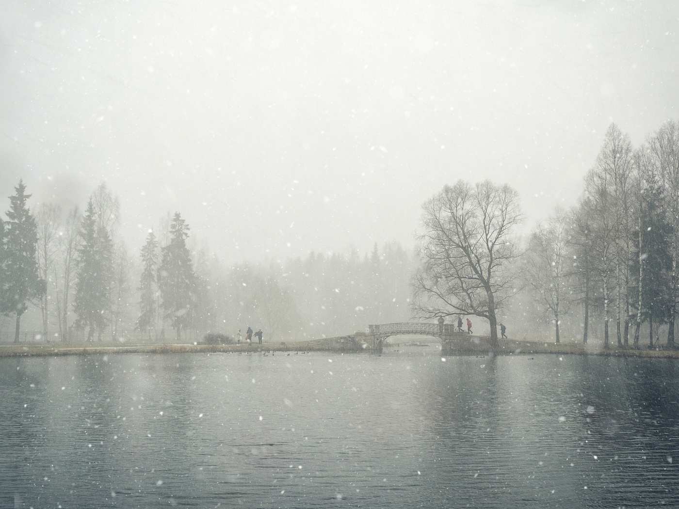 Snowfall in the city Park. Gatchina. Russia.