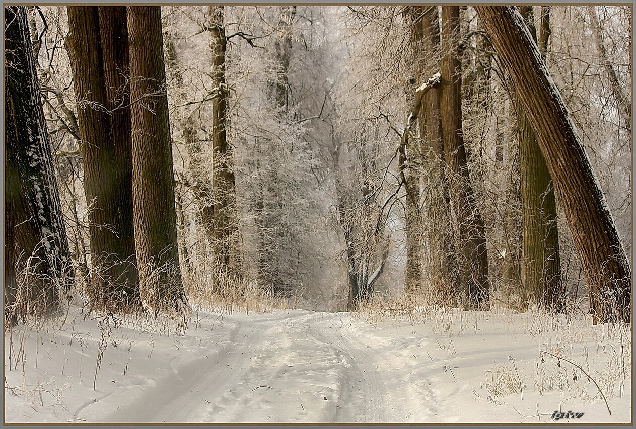 Зимняя сказка