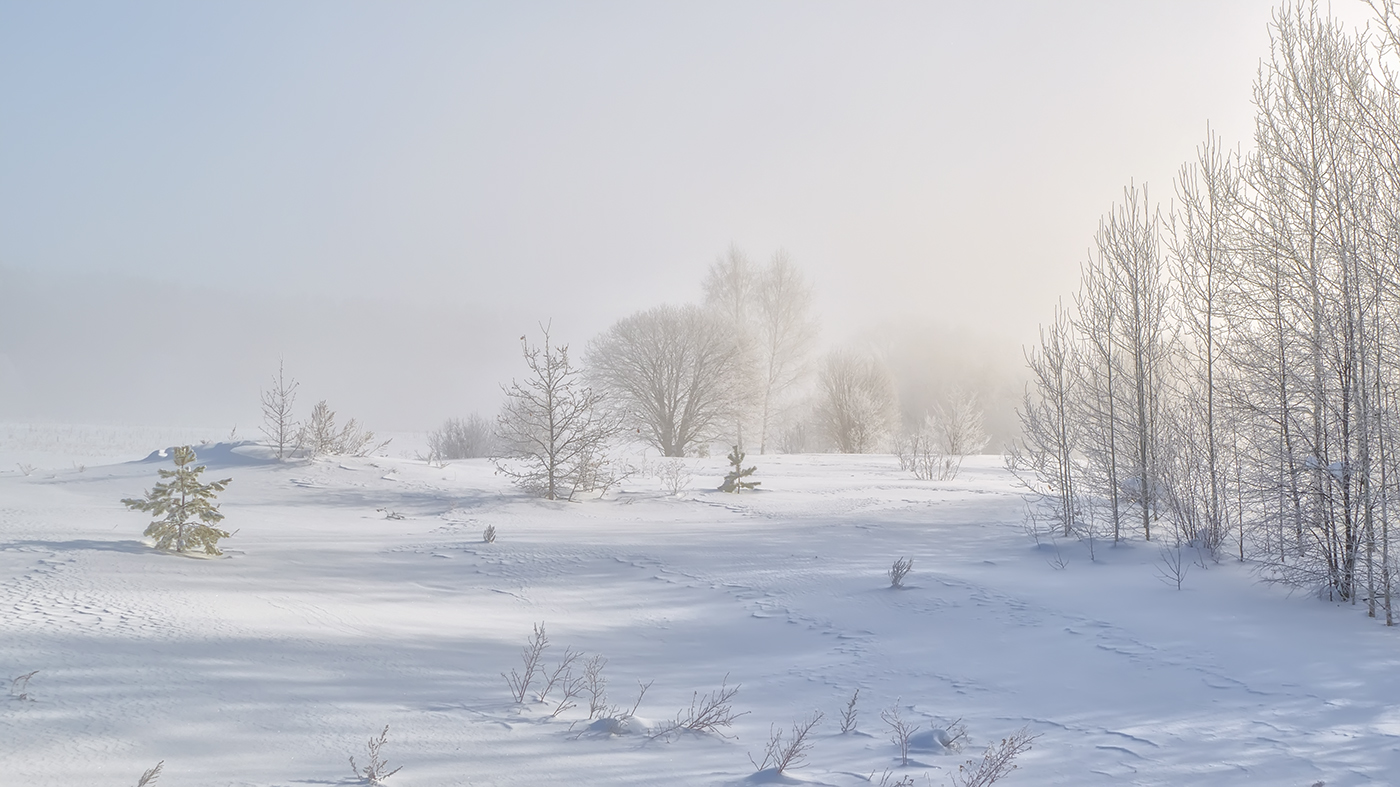 Зимняя сказка