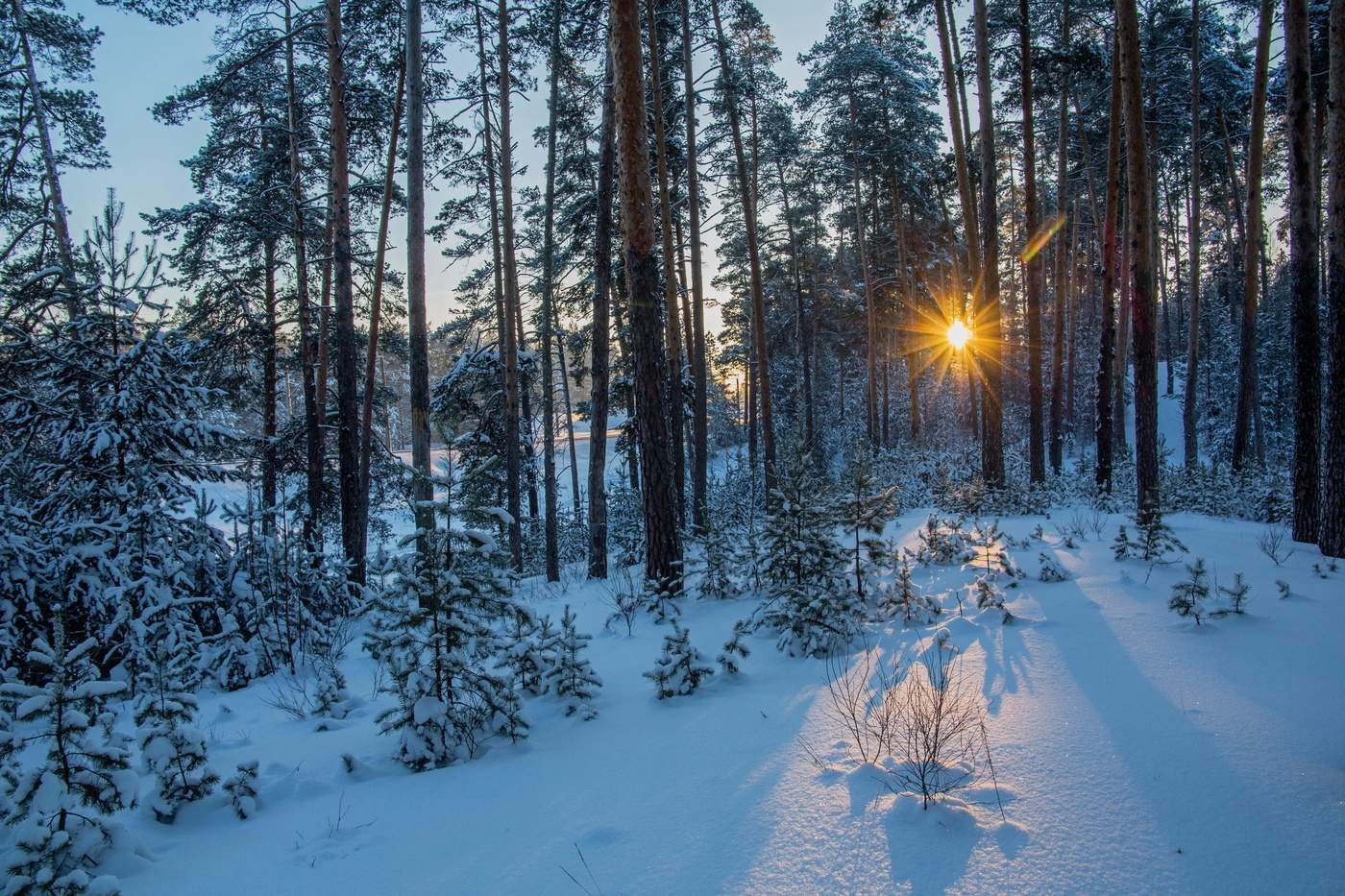 Зимняя сказка