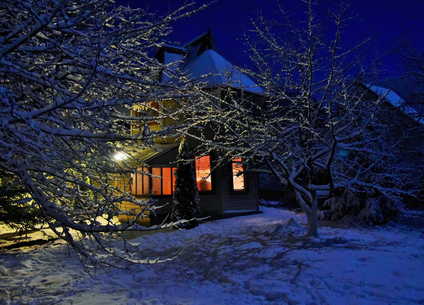 Лунная ночь ...