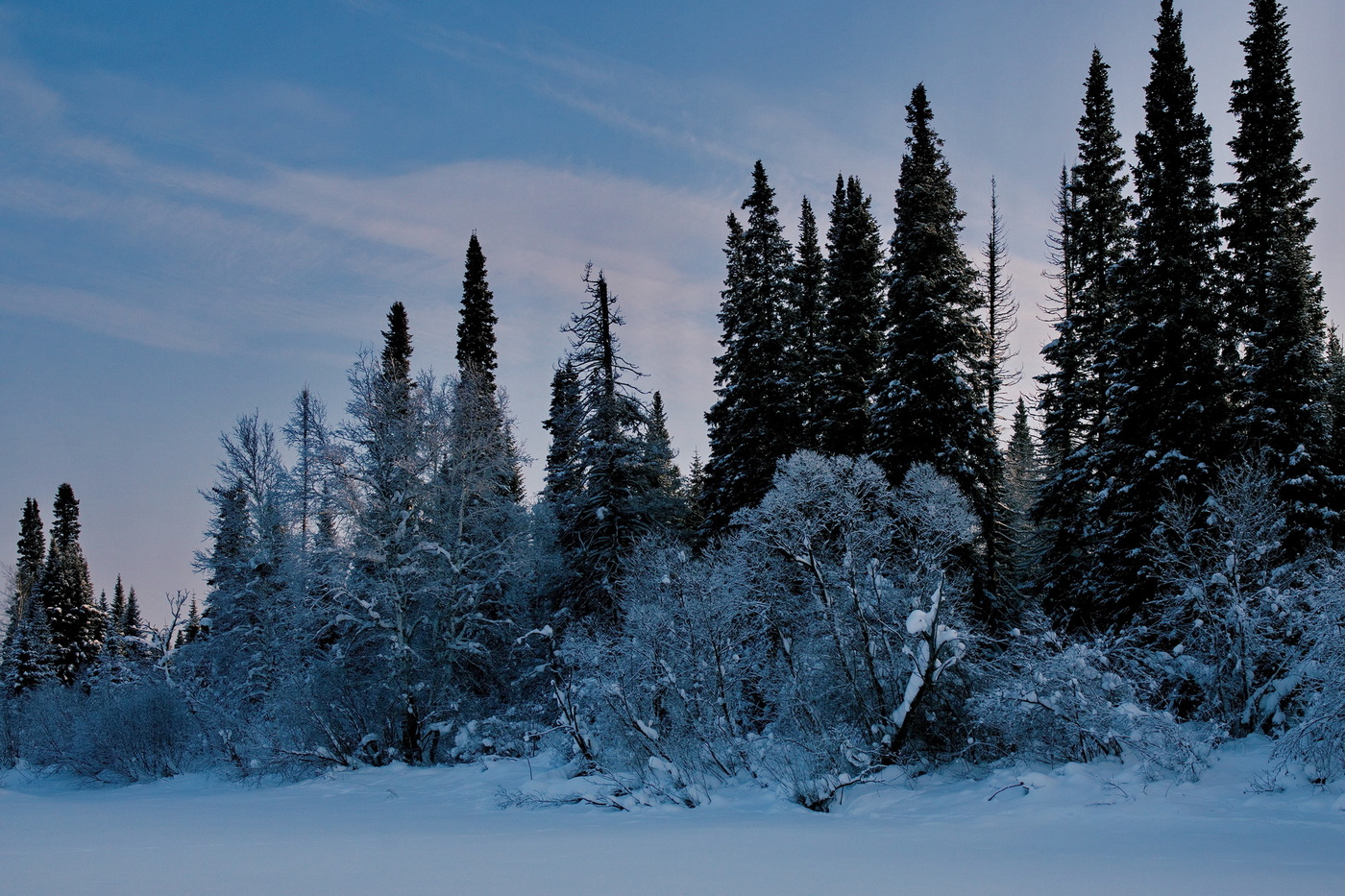 Зимний день.