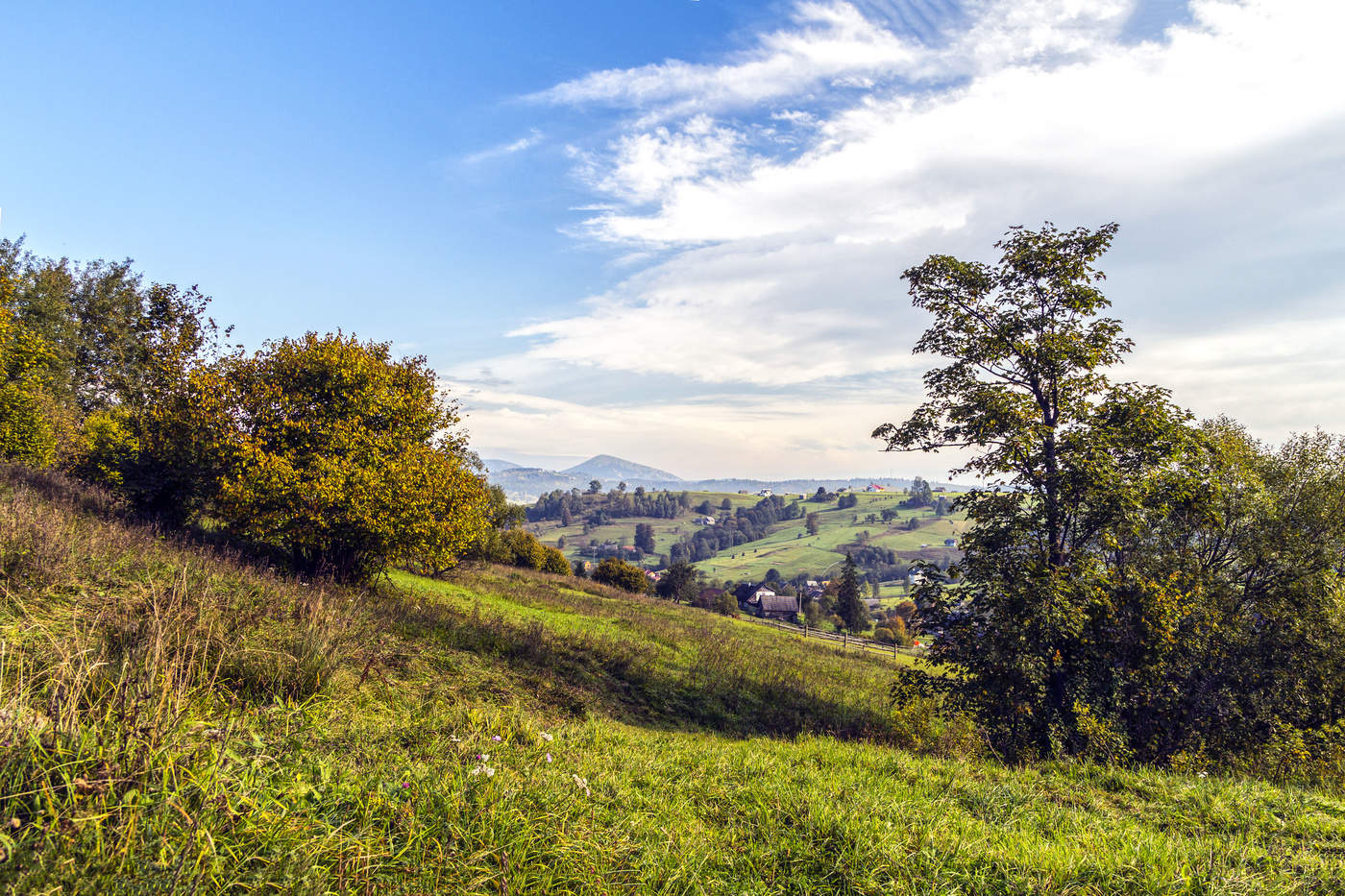 Закарпатские мотивы