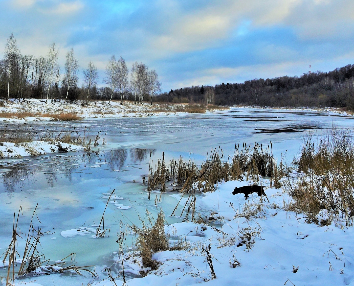 Опасное любопытство ...