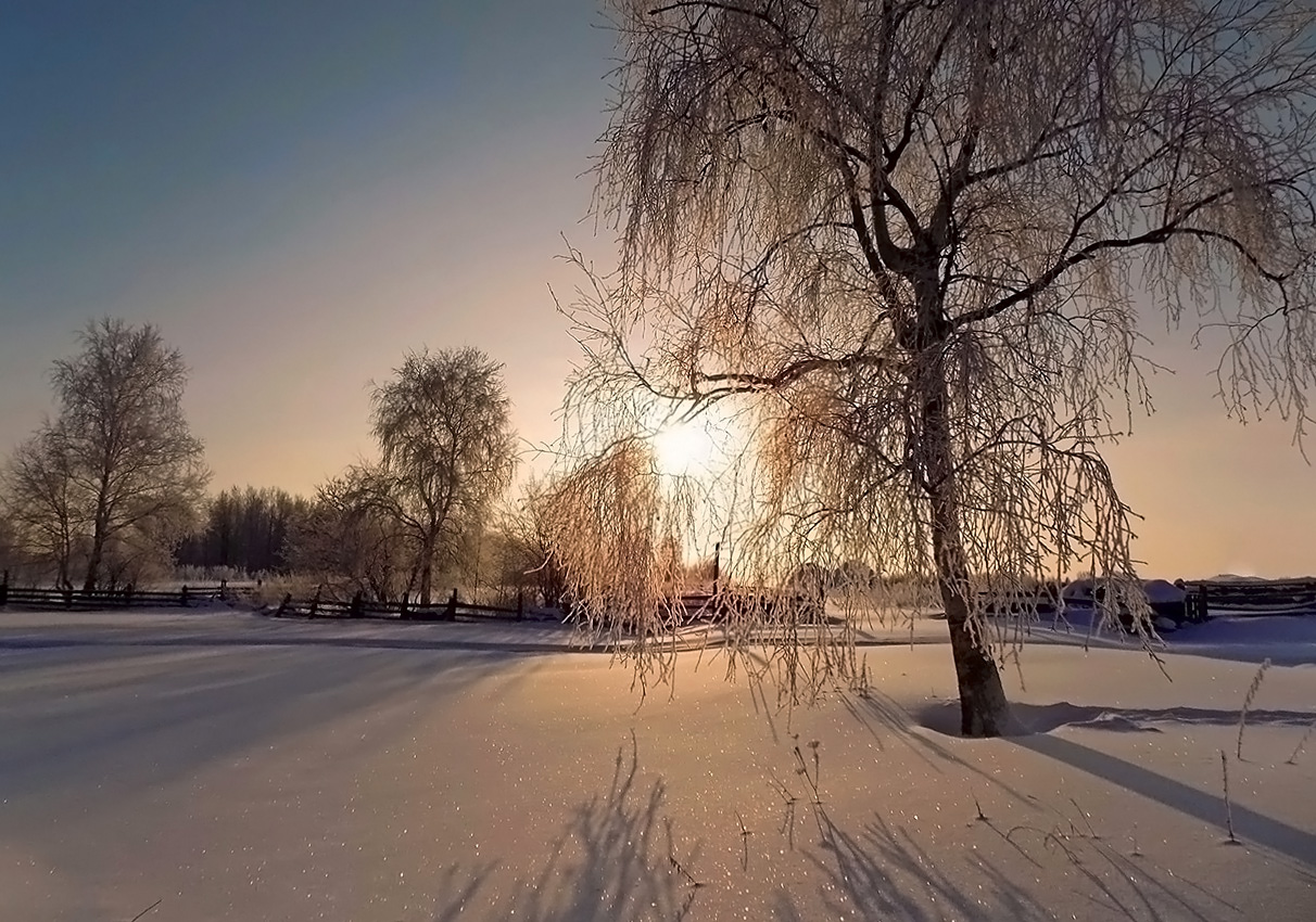 За околицей...