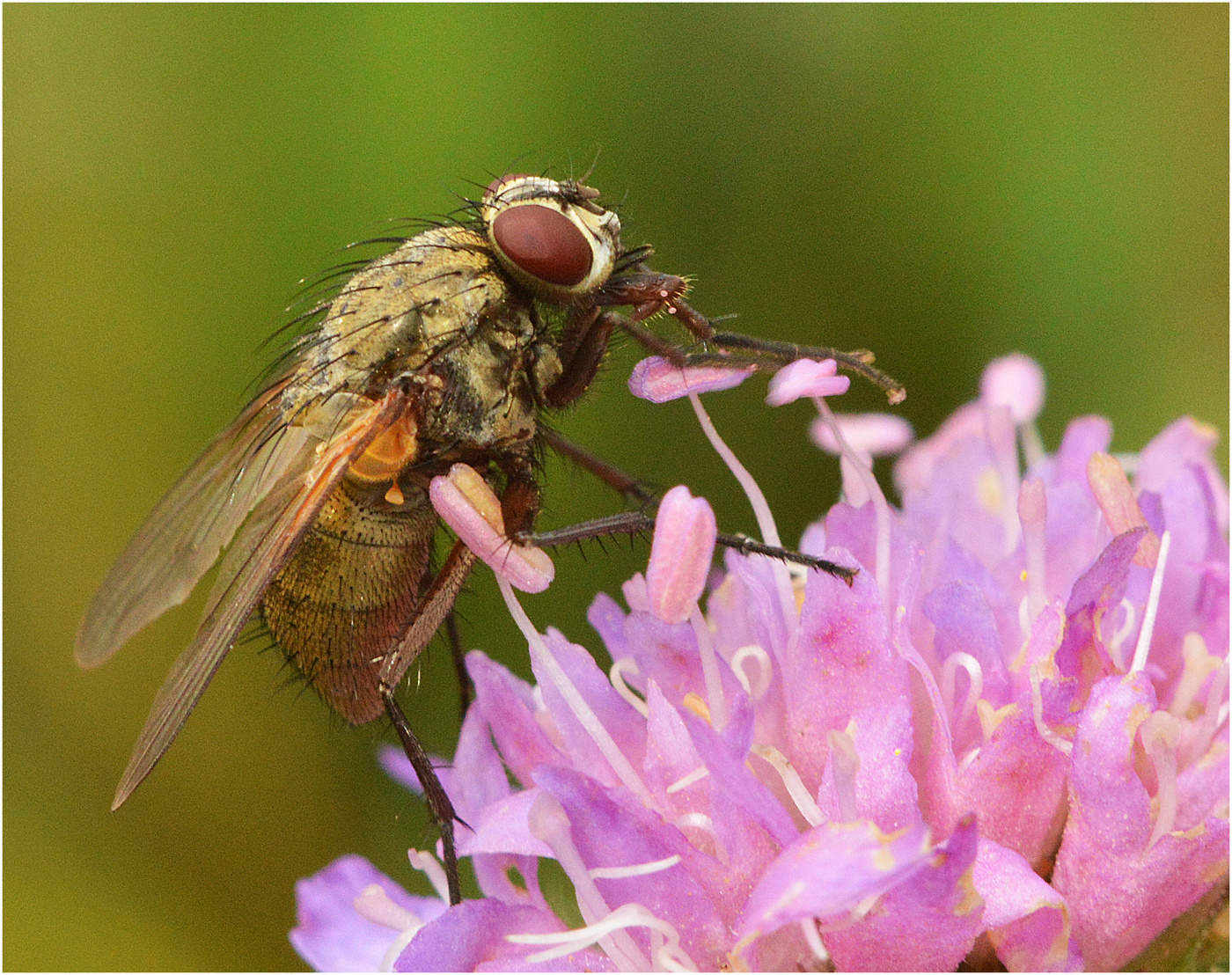 Лето, солнце и ....