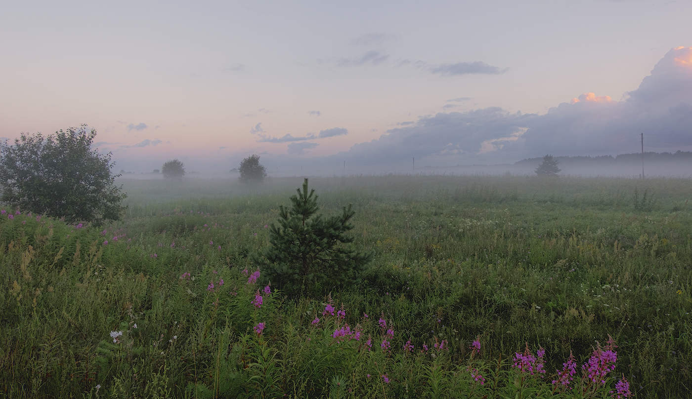 Утренняя прохлада