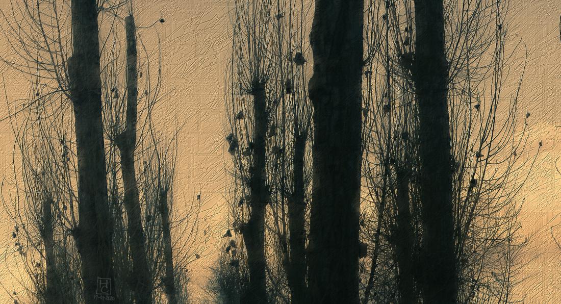 теплая зима