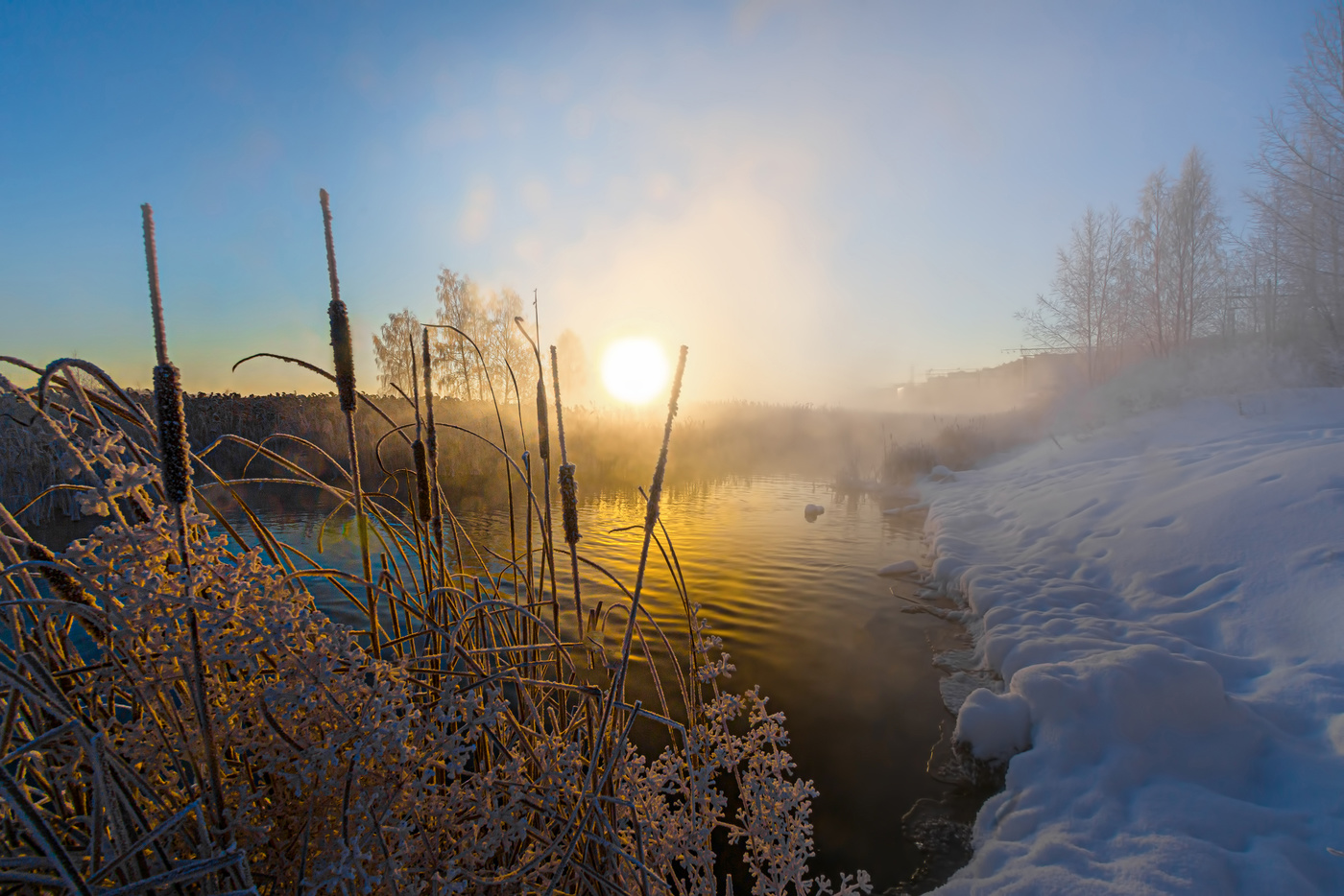 Сквозь туман
