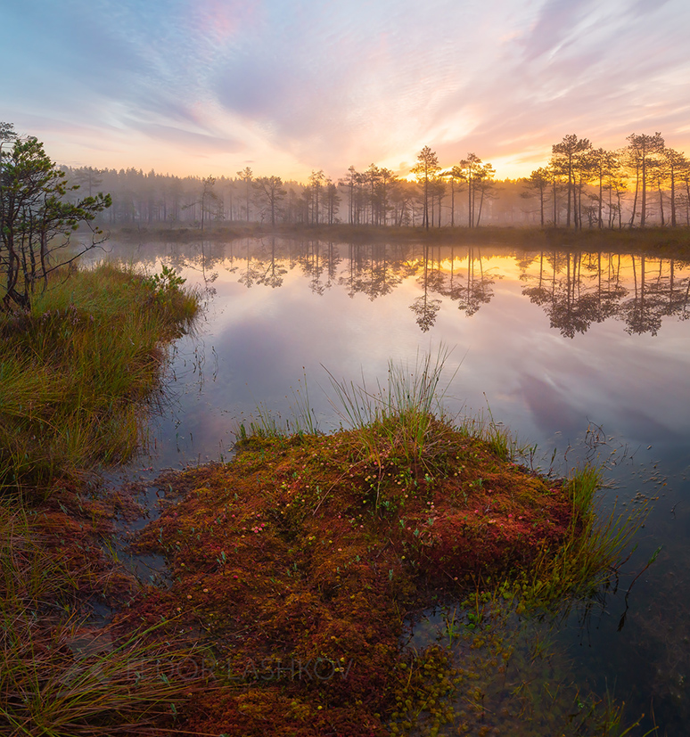 Живопись рассвета