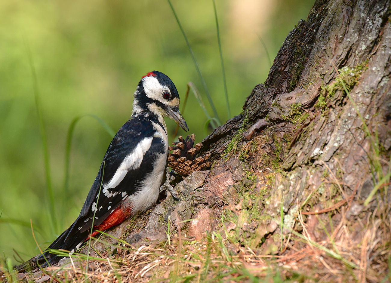 ..А вдруг что осталось...