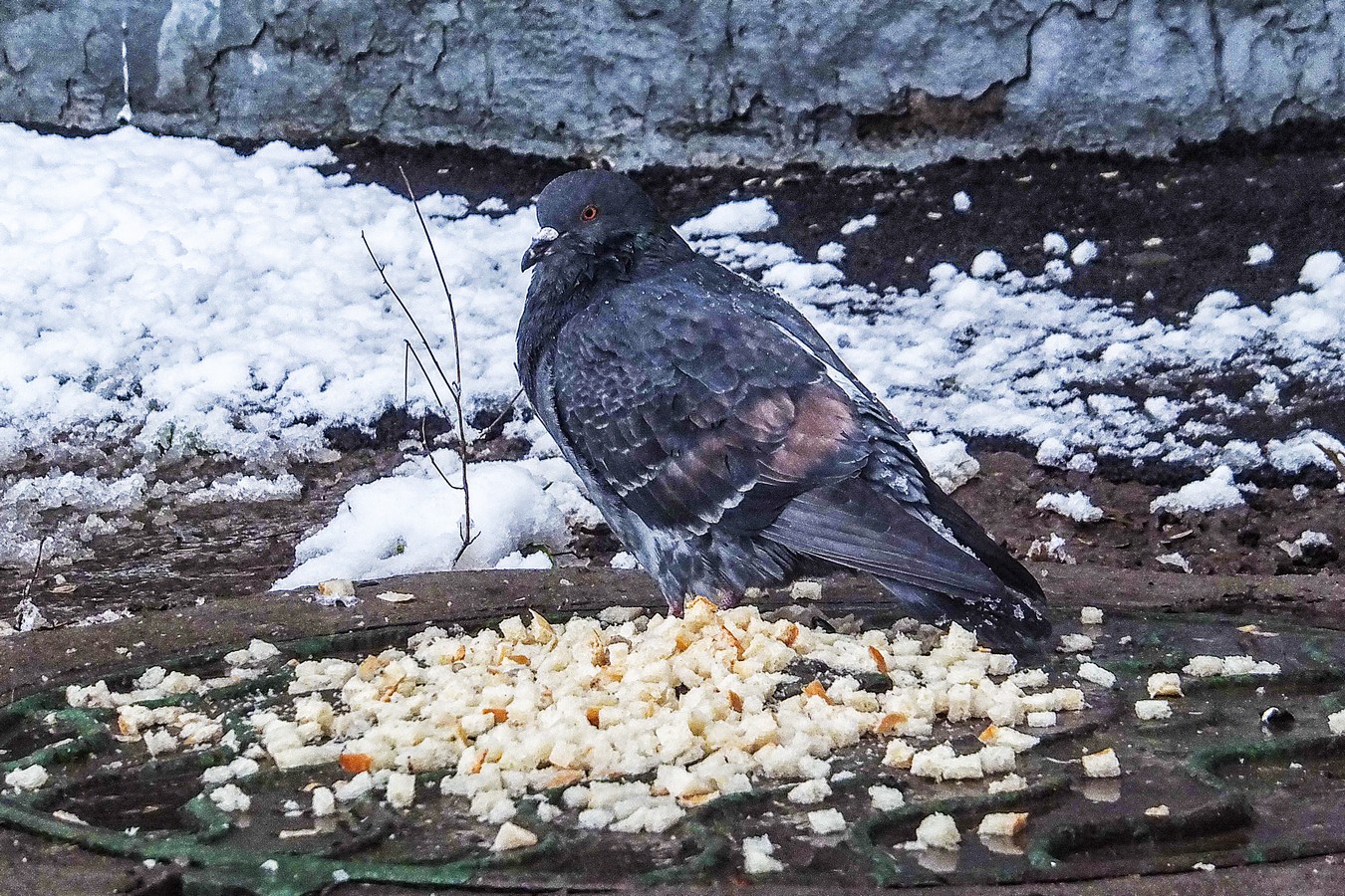 Добро пожаловать!